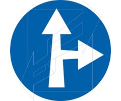 Ρυθμιστική πινακίδα Ρ51δ